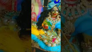 Laddugopal Shringar । Radhe Radhe । राधे कृष्ण राधे कृष्ण कृष्ण कृष्ण राधे राधे