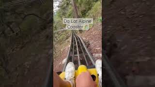 #dalat #alipinecoaster #travel #backpacking #vietnam #trending #travelvlog #lgbt #budgettravel #vlog