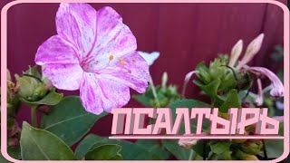 Псалом 72