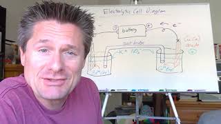 Video 15  Electrolytic Cells and Electrolysis