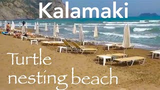 Kalamaki turtle nesting beach Zante zakynthos Greece