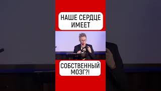 НАШЕ СЕРДЦЕ ИМЕЕТ СВОЙ СОБСТВЕННЫЙ МОЗГ. СЕРДЦЕ УПРАВЛЯЕТ МОЗГОМ. НАТАЛЬЯ ГРЭЙС #shorts #мозг