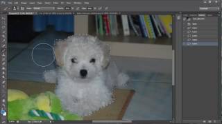 Photoshop CS6 Basics 2 - Canvas History Selections