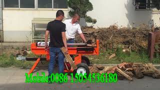 high performance log splitter / shear type log splitter / log splitter price