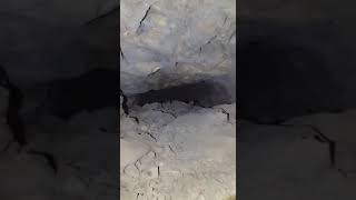 MINE SHAFT (2/9/24) #history #mining #goldmines #shortvideo #arizona #abandonedplaces