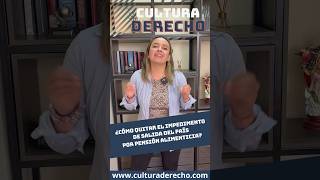 ¿Cómo quitar el impedimento de salida del país por pensión de alimentos? #pensionalimenticia