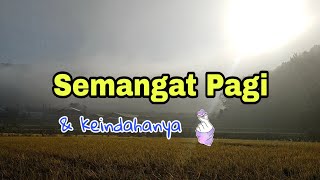 selamat pagi korea - sawah di korea