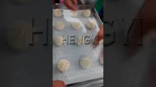 Momo/baozi making machine from HENGYI