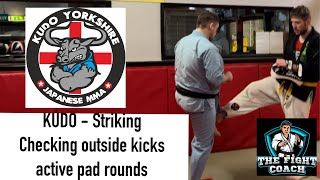 KUDO - Striking - Outside Leg Check active rounds