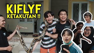 KIFLYF KETAKUTAN !! DI BAWAIN ULAR DI KANTOR  NYA !! HAMPIR DI L1L1T !