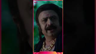 Mamangam Fighting Scene | #movieclips #shortsfeed #movieshorts #trendingshorts