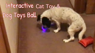 Rechargeable Interactive Dog /Cat Toy Ball w/ Remote Control LED Lights,