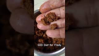 GastroIntestinal Diet Food for 6 months old Beagle puppy|#Shorts