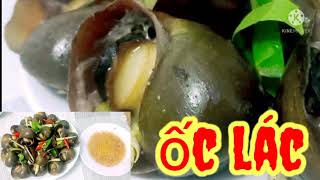 ỐC LÁC|HẤP SẢ GỪNG|DỄ LÀM BAO NGON|#HKTTV#31