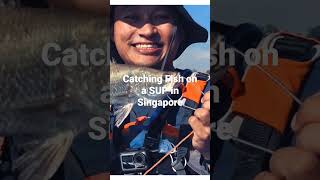 Catching fish on a SUP in Singapore