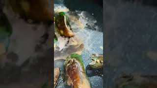 GRILLING MUSSELS #seafood #shorts