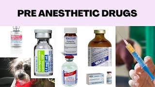 Pre anesthetic Drug | Premedication | Xylazine