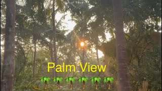 Little Paradise!🏝️ #travel #vlog #travelvlog #palmview