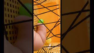 Creative and educational diy home activities for babies #shorts #youtubeshorts