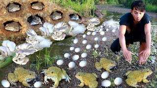 Survival in the rainforest- Man found frog and egg for cook mix with mushroom - Eating