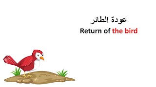 Arabic short text to improve your language for beginner level  text 7.(Return of the bird)