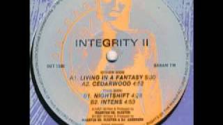 Integrity II - Intens