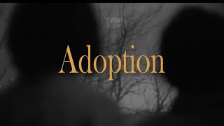 Adoption (Dir. Márta Mészáros)