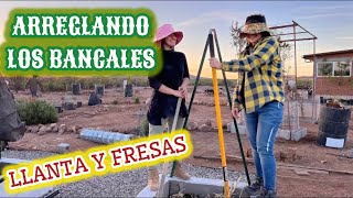 64~LLANTA delantera NUEVA para EL TRACTOR~ARREGLAR CON PIEDRAS LOS BANCALES+FRESAS🍓”que se  logren”