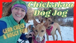 A Jog with Dogs at Chickakoo Lake + Gear Check