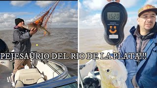 Pejerrey bestia del Rio De La Plata // @derquicazaypesca8038 #pesca #pejerrey #fishing