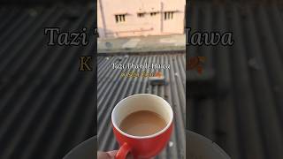 Tazi Thandi Hawa K Sath Chai☕🍂#shortsvideo #viralshorts #minivlog #tealover #viralvideo #shortsviral