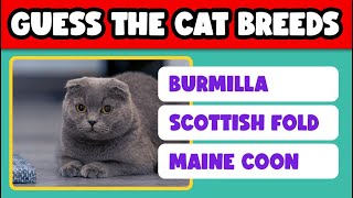 Guess the cat breed - Quiz