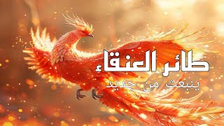 طائر العنقاء ينبعث من الرماد | العربية الوثائقية Documentary Arabic