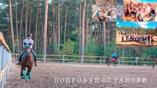 ПОПРОБУЙ ОСТАНОВИ | TSAR