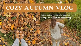 COZY AUTUMN VLOG 🪵🍂🥨 уютный влог | осенняя атмосфера | рецепт самых вкусных сырников✨