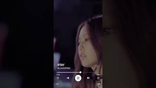 BLACKPINK - 'STAY' M/V  (Chorus Shorts) #viral #shorts #blackpink #stay #status