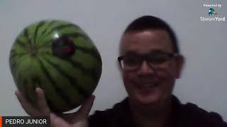 LIVE MELANCIA AMARELA, LIVE YELLOW WATERMELON