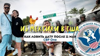 Как ловить дату в CBP One после изменений 11 мая?