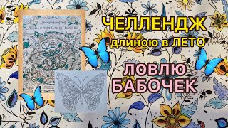 Раскраски с бабочками Челлендж длиною в ЛЕТО 🦋Ловлю бабочек🦋 на страницах моих раскрасок #бабочка