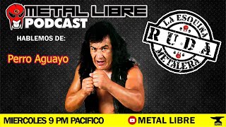 Perro Aguayo Programa 60