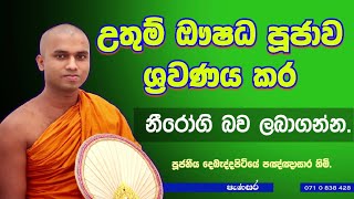 මහා බලසම්පන්න ආශීර්වාදාත්මක උතුම් ඖෂධ පූජාව. #pujawa #kavibana #buddha #trending #methtv #jayatv