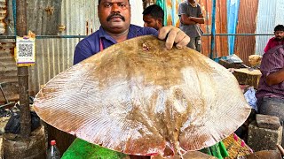 KASIMEDU SPEED SELVAM STINGRAY FISH CUTTING VIDEO CUTTING FOCUS