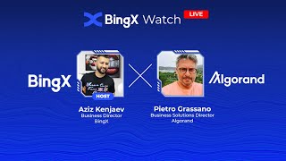 #BingX On Air — A Session with Algorand