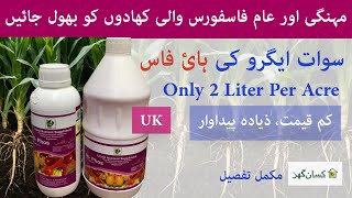 Hi Phos of Swat agro is best alternative of typical phosphorus fertilizer | Hi liquid phosphorus