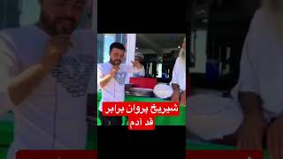 شیریخ جان آغا پروانی برابر قد آدم است 😳😳😳