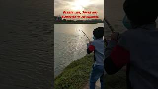 #flathead #strike Big Flathead strike at the shore #viral #angler #trending #trendingshorts #fishing