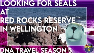 Will we see seals at the Red Rocks Reserve???