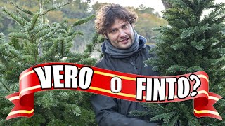 Albero di Natale - Quale scegliere?