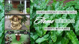 How To Decorate Your House With Houseplants | A view of our parents front porch