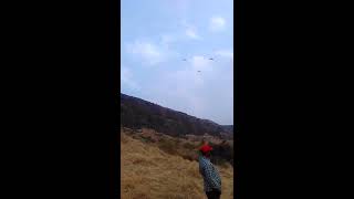 Paragliding at Brahmanwadi